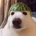 de0