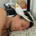 birdalert21