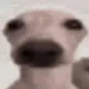 carelessinternet