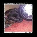 avatar Tebo/Teborias#2979