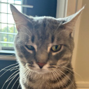 Discord Avatar