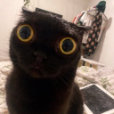 Discord Avatar