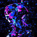 donlxix