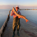 alex99ace#8893's avatar