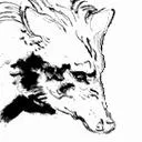 orfjackal