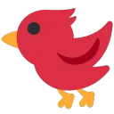 square_friend