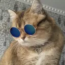 doctahouse