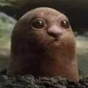 bossofnubs