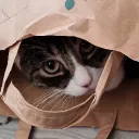 takail