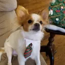 tyrelsackett