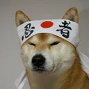 fen.com