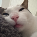 soups420#5305's avatar