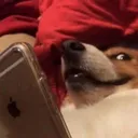 beatsactually