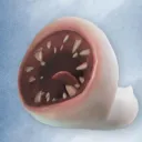tartiicat