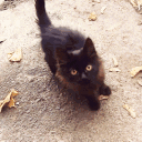 DeJeL ||Redstone_Source||