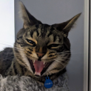 loo9335#4604's avatar