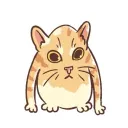 chiffonhaha