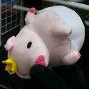 kuinessi