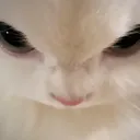 lemonhane