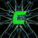 cardif