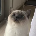 scrummmmy