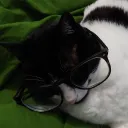 closeshave