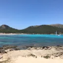 nexiaz