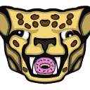 theelasticdonutcheetah