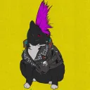 .mopop avatar