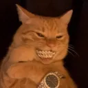 meeselol