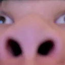 thedangman