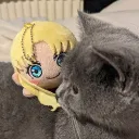 dr.triton