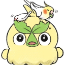 Discord Avatar