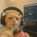 pengvn
