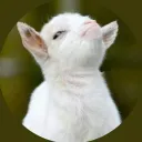 _escapegoat