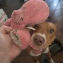 jdrunksquid