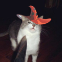 themajortom member profile picture