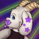 shroomdog27