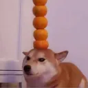r_r_r_r