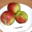 kaimokene