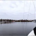 tombadude