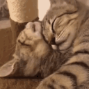 [CLTCH] Myckael azzzzzzzzzzzzzzz