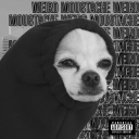 salutmoustache#3341's avatar