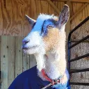rofus