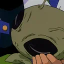 pirapiranha