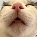 hughmunguswang