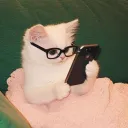 ohberry007
