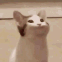 anakuzy