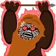 mrwooke
