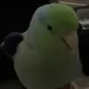tehk_